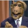 El gran “alf”